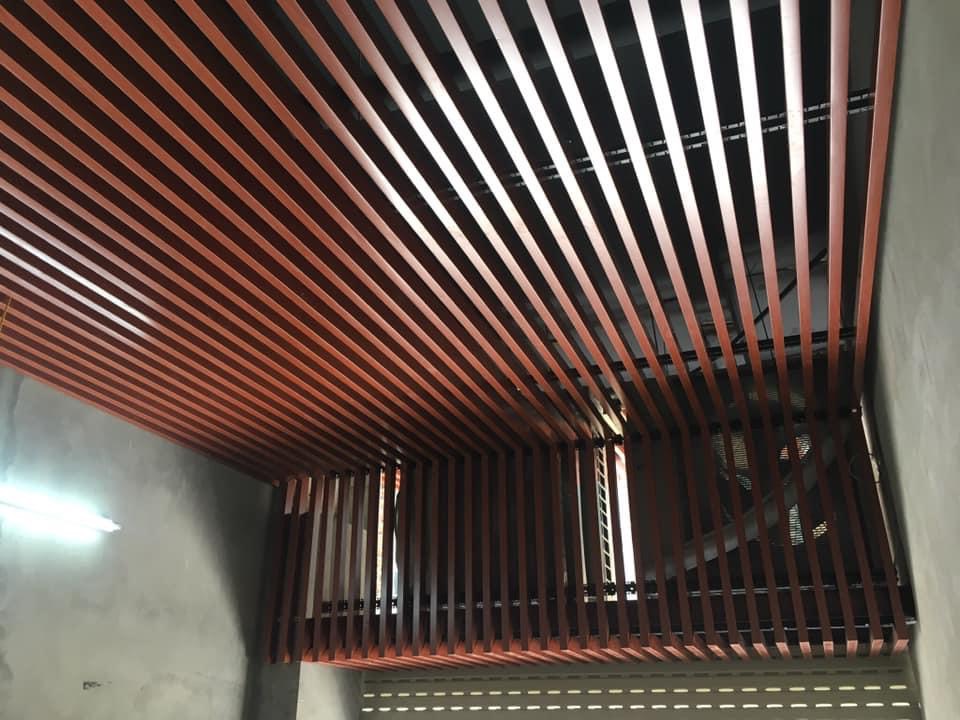 trần u 50